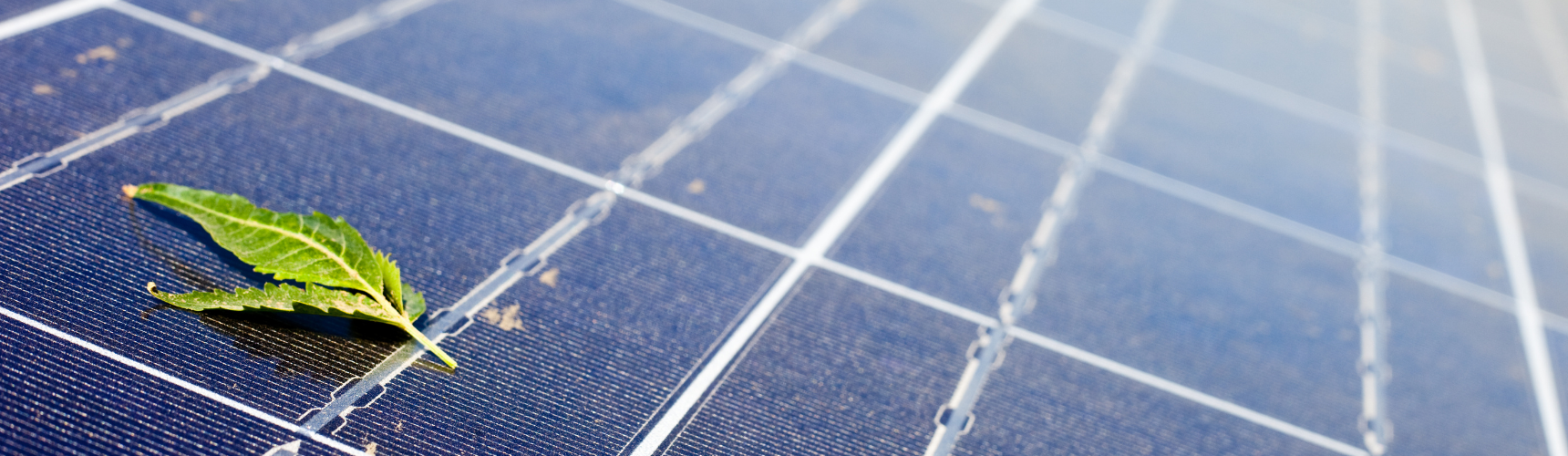 Green leaf on a solar pannel how to be an energy efficient business